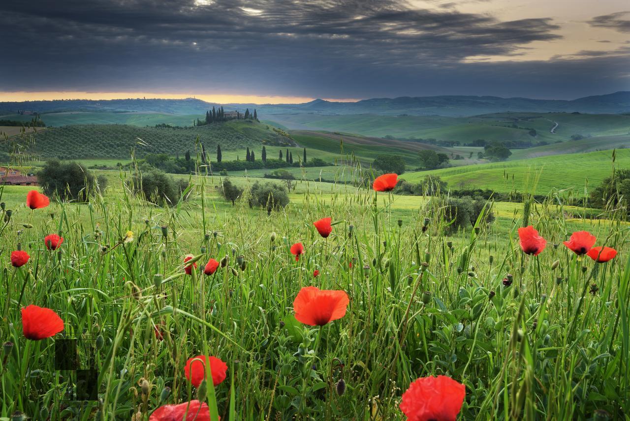 La Bellavita B&B Pienza Kültér fotó