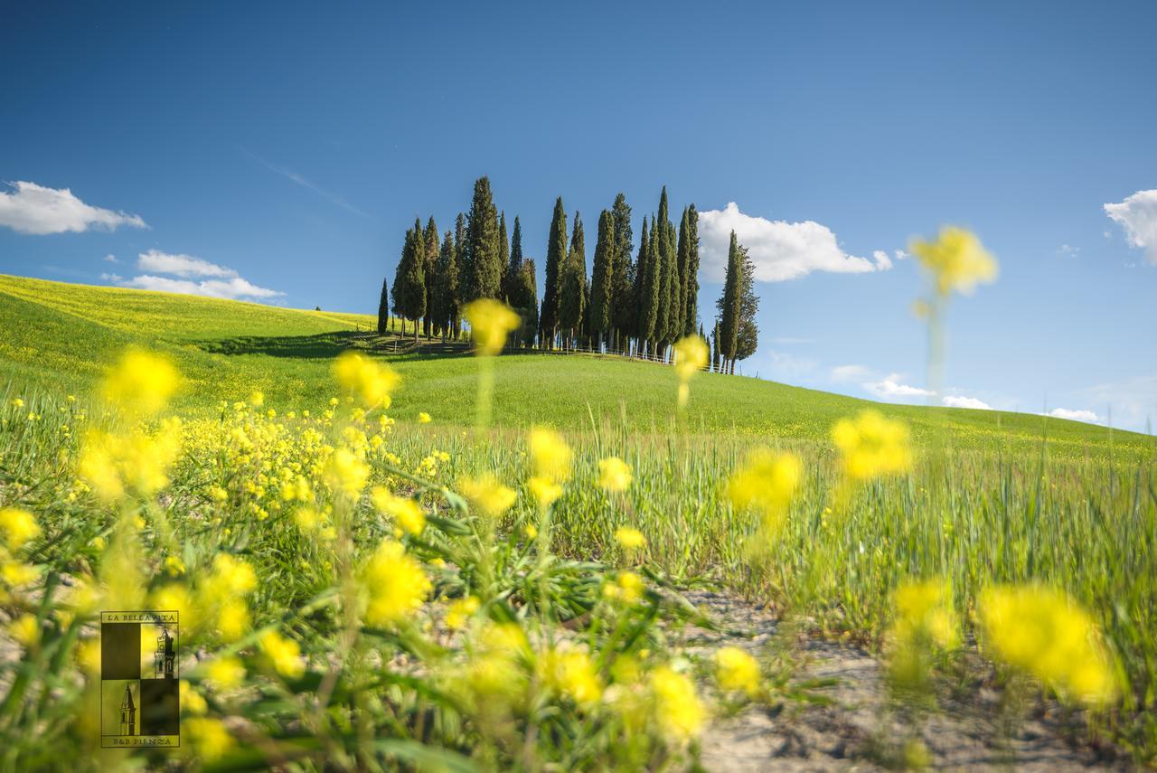 La Bellavita B&B Pienza Kültér fotó
